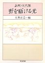野を駈ける光