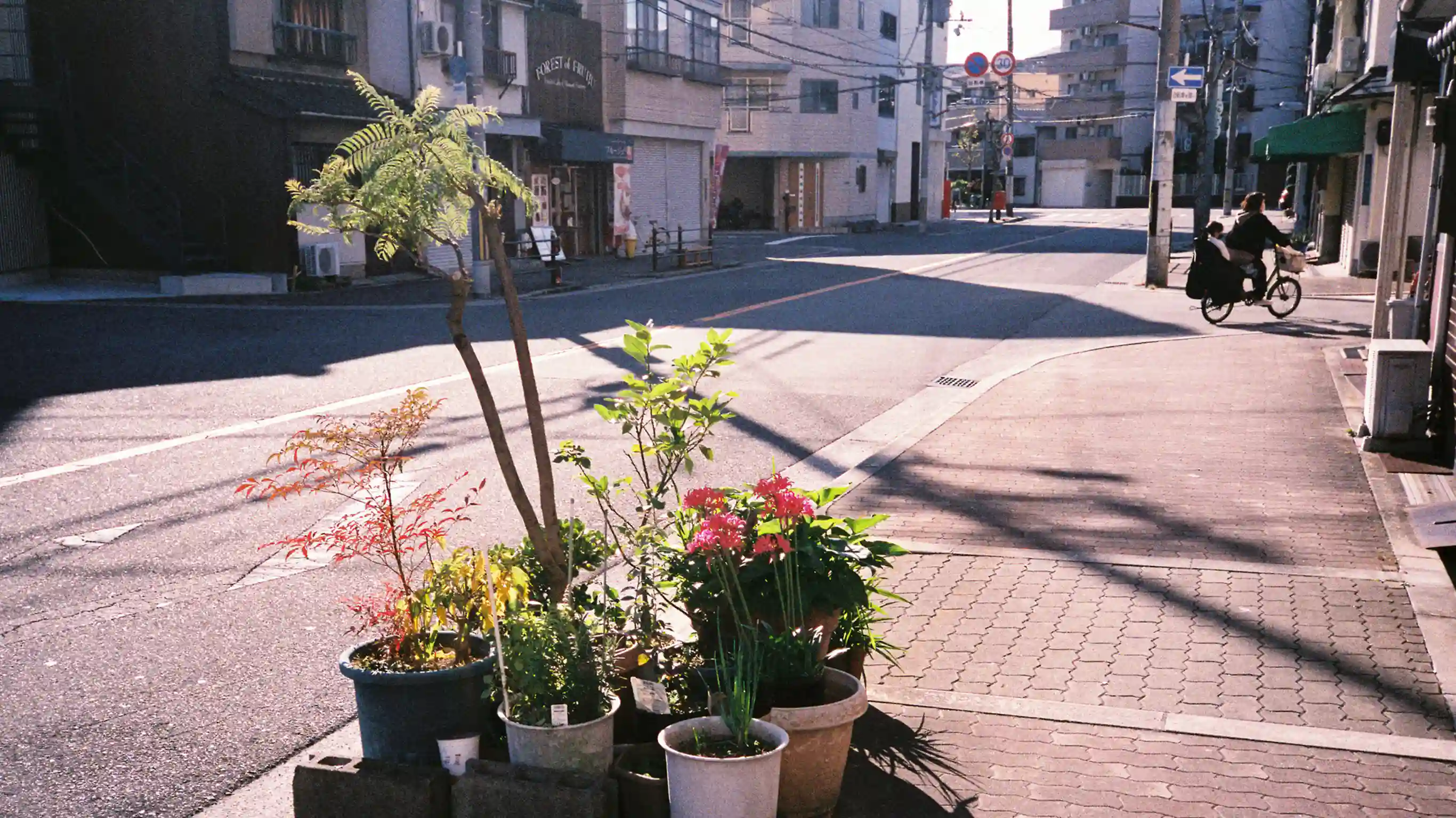 大阪の生活史 - 大阪の風景写真 写真＝岸政彦